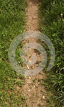 Dirt and grass border path