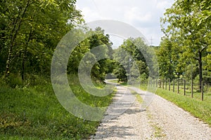 Dirt and gravel road through farmland