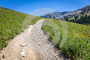 Dirt Hiking Trail Leading Through the Mountains in the Summertime