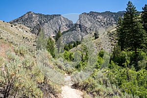 Dirt hiking trail leading to the Goldbug Hot Springs in Idaho Salmon-Challis National Forest