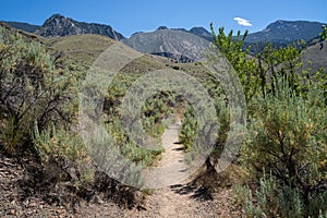 Dirt hiking trail leads to Goldbug Hot Springs Elk Bend in the Sawtooth Mountains in Idaho