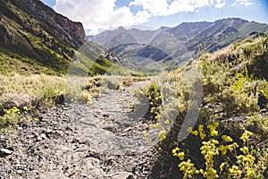 Dirt hiking trail in McGee Creek near Mammoth Lakes California