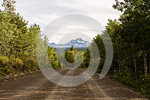 Dirt Logging Road with Distant Mountain