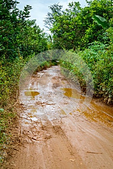 Dirt mud road in jungle of Vietnam