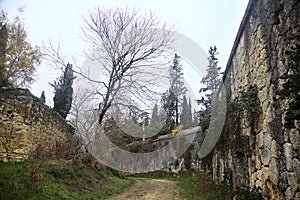 Dirt path at the beginning of a grove in a park bordered by stone walls on a cloudy day in autumn