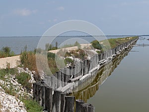 dirt path through the lagoons