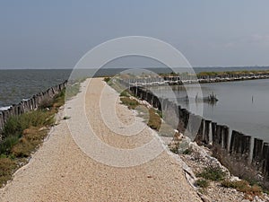 dirt path through the lagoons