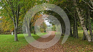 a dirt path near a grassy green field filled with trees