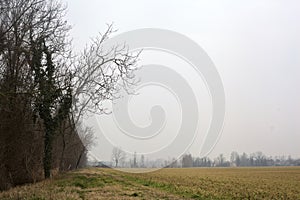 Dirt path next to a forest by the edge of a field with a bell tower in the distance framed by a tree on a cloudy day
