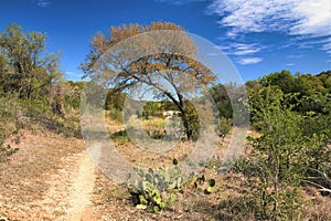 A dirt path passes through a colorful desert landscape on a sunny Autumn day.