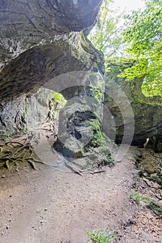Dirt path to a small tunnel passing a huge sandstone rock formation, exposed roots of a trees
