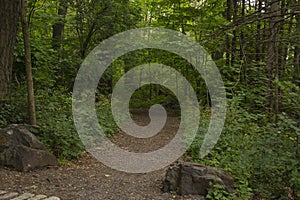 Dirt path in wooded parkland