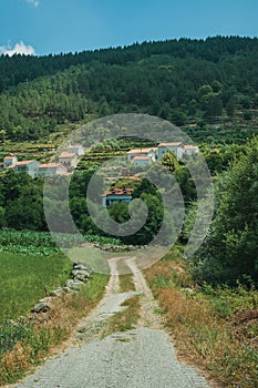 Dirt pathway and countryside landscape with cottages