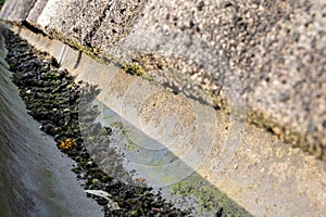 dirt in rain gutter