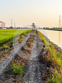 Dirt road