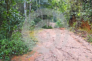 Dirt road adventure