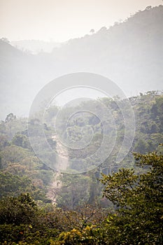 Dirt road through african jungle