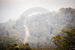 Dirt road through african jungle