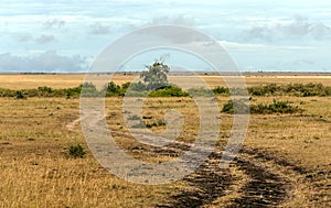 Dirt road in the African savannah