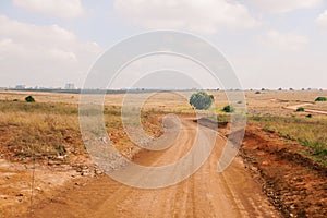 Dirt road against the Savannah Grassland landscapes of Nairobi National Park, Kenya