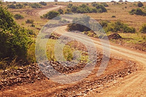 Dirt road against the Savannah Grassland landscapes of Nairobi National Park, Kenya