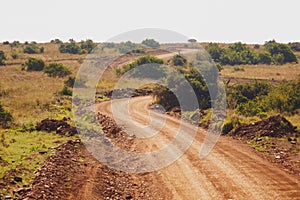 Dirt road against the Savannah Grassland landscapes of Nairobi National Park, Kenya