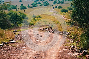 Dirt road against the Savannah Grassland landscapes of Nairobi National Park, Kenya