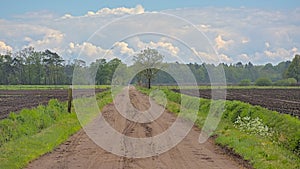 Dirt road along farmland in the flemish countryside