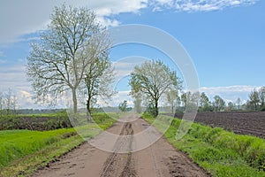 Dirt road along farmland in the flemsh countryside