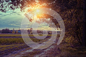 A dirt road along the field at sunset