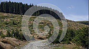 Dirt road, Apuseni Mountains, Romania