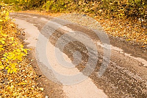 Dirt road in the autumn