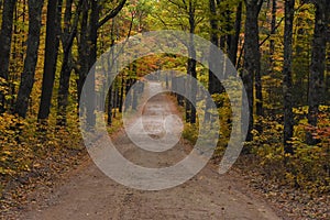 Dirt road in the autumn light New England