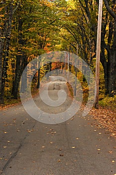 Dirt road in the autumn light New England