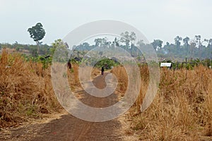 Dirt road through barren arid land