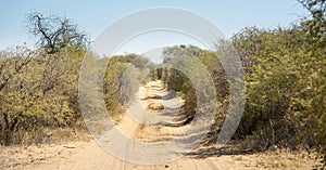 Dirt Road Botswana