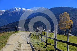 Dirt Road in Bucegi Mountains