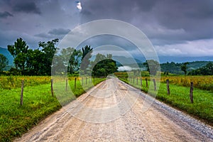 Dirt road at Cade's Cove in the morning