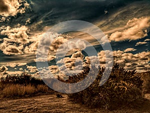 A dirt road in the California Mojave desert under stormy skies.