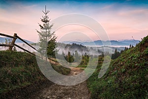 Road in a mountains