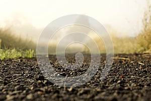 Dirt road closeup
