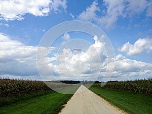 Dirt Road and the Corn Fields