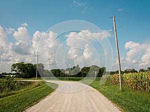 Dirt road with corn fields in a rural area of Illinois