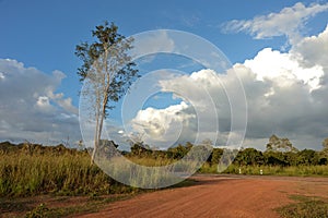 Dirt road in country