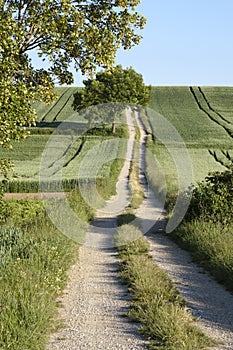 Dirt road in the Countryside of Bavaria