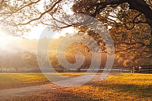 Dirt road in the countryside at sunset