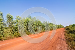 Dirt road in the countryside of Thailand