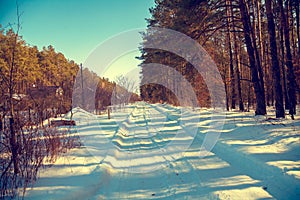 Dirt road cowered with snow. Rural winter landscape.