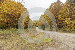 Dirt road curving through New Hampshire woods