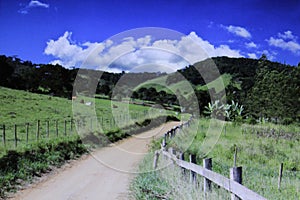 Dirt road that cuts through two pastures in the rural area of a small town photo